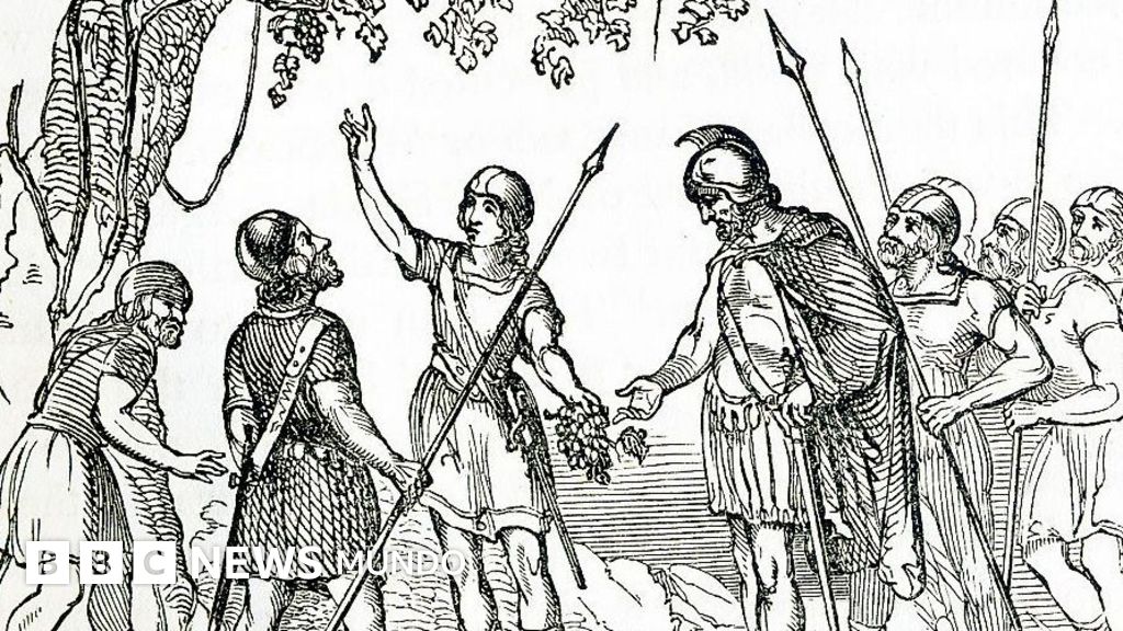 La travesía nórdica: Los vikingos que llegaron a América cinco siglos antes que Colón