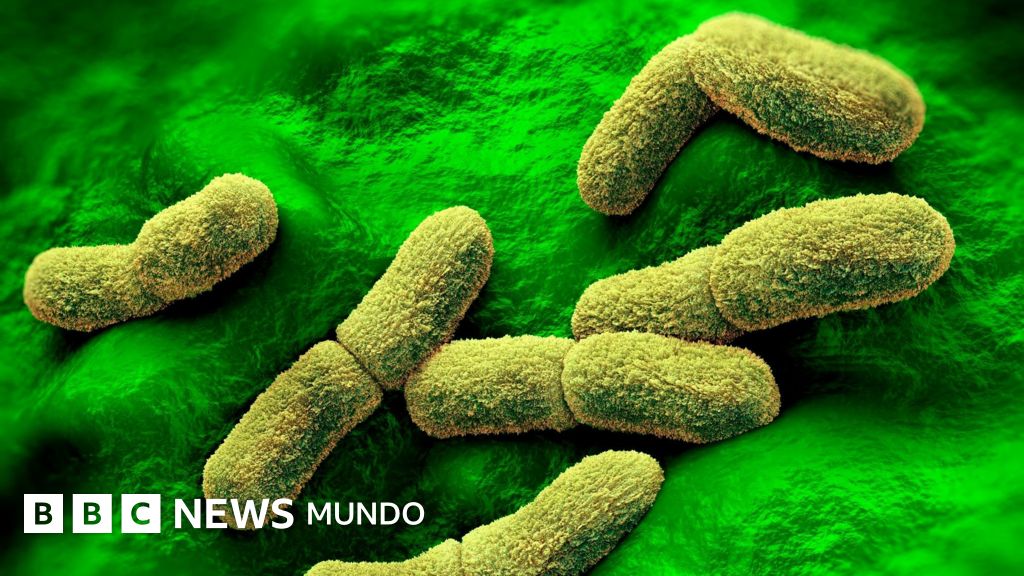 EE. UU. monitorea de cerca el fallecimiento de una científica en un laboratorio de peste en Siberia