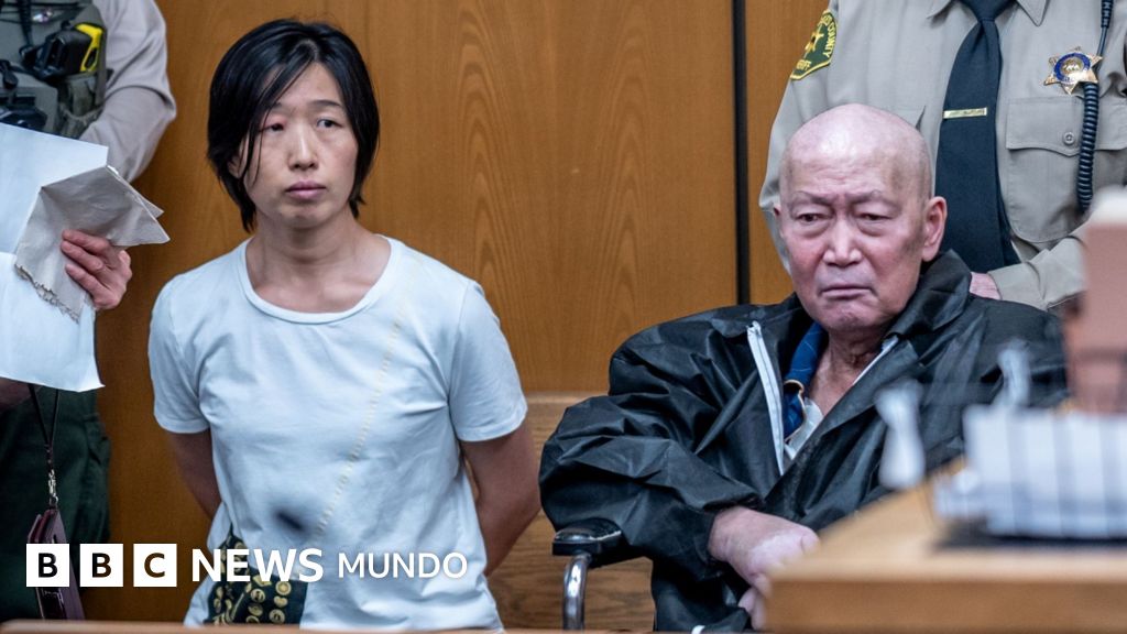 Arrestan en California a pareja acusada de abusar de 14 niños nacidos por gestación subrogada