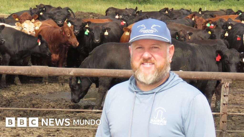 Crisis en el campo de Nebraska: ganaderos cuestionan el respaldo a Trump ante la inestabilidad económica