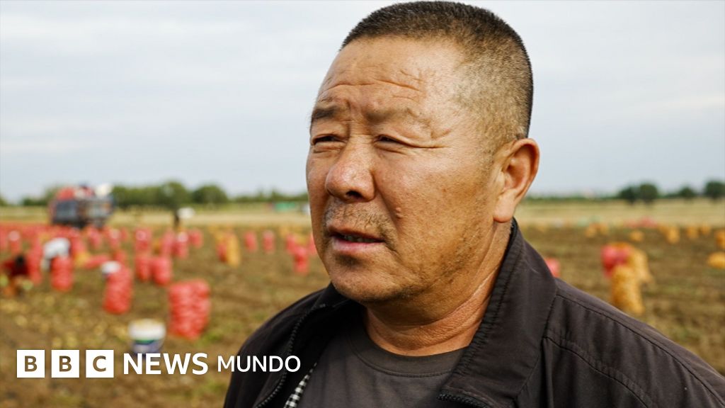 Ulanqab: El epicentro rural de la carrera tecnológica entre China y Estados Unidos