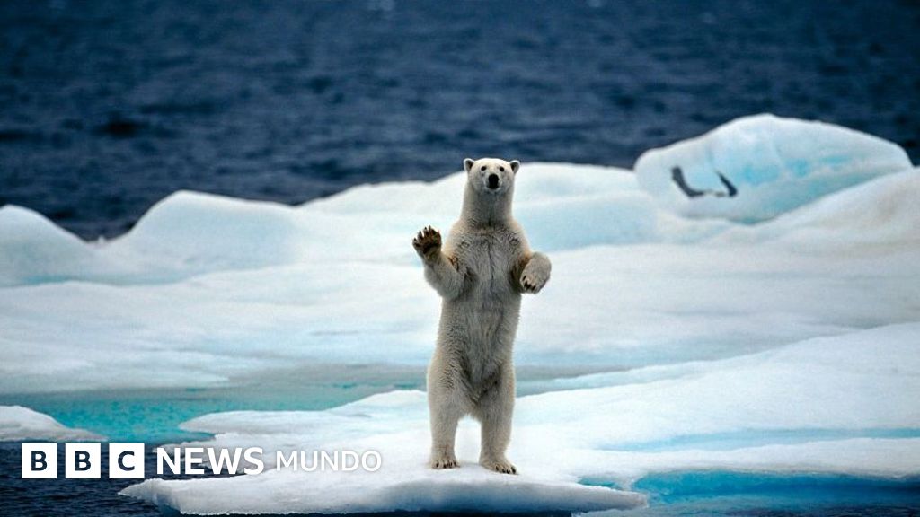 Más allá del hielo: Por qué existen múltiples definiciones del Polo Norte