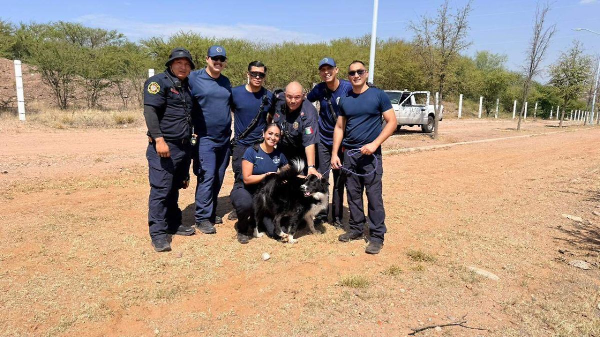 Bomberos rescatan a un perro atrapado en la presa Chihuahua