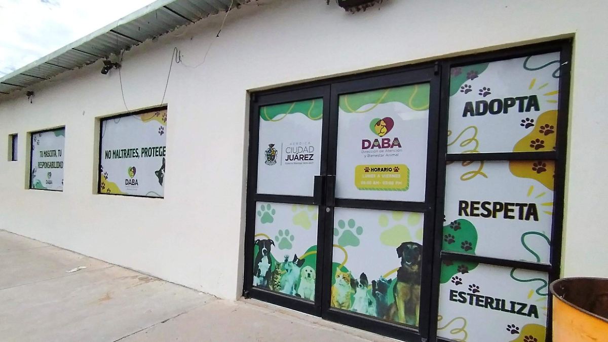 DABA ha rescatado a mil 310 animales en Ciudad Juárez durante la actual administración