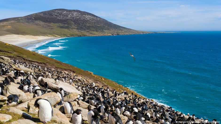 Proyecto petrolero Sea Lion reaviva tensiones históricas entre Argentina y Reino Unido por las Malvinas