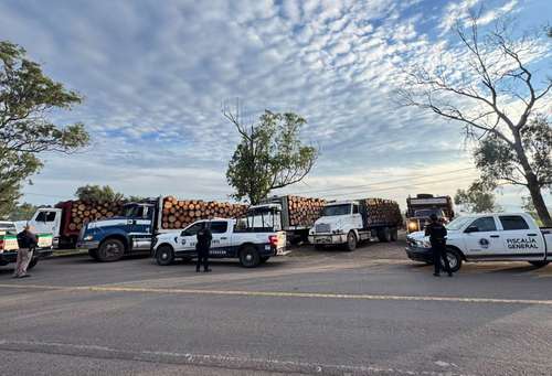 Decomisan cinco camiones cargados con madera ilegal en las inmediaciones de Morelia