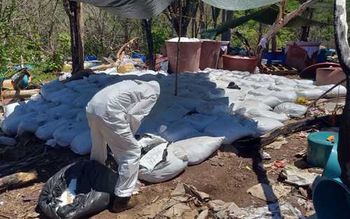 DEA reclama autoría en decomiso histórico de metanfetamina en Sinaloa