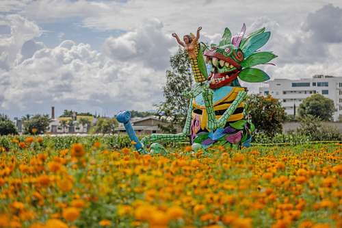 Atlixco se viste de color: Alebrijes monumentales custodian los campos de cempasúchil
