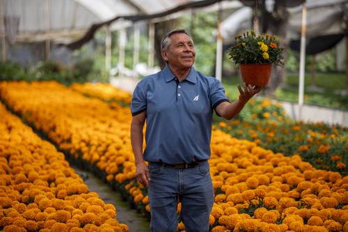 Xochimilco se tiñe de naranja: inicia la temporada de cempasúchil con una derrama estimada de 49 millones de pesos